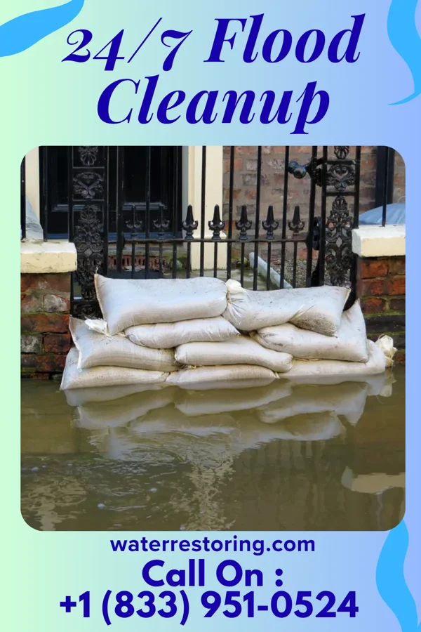 24/7 Flood Cleanup in Ward, SC
