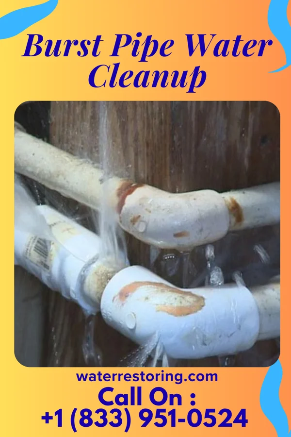 Burst Pipe Water Cleanup in Ward, SC